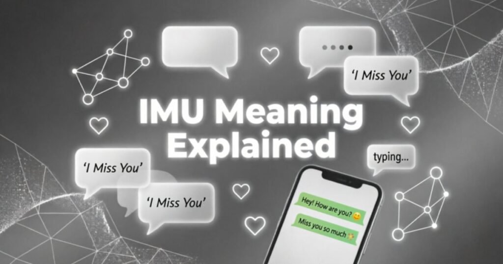 imu-meaning-explained