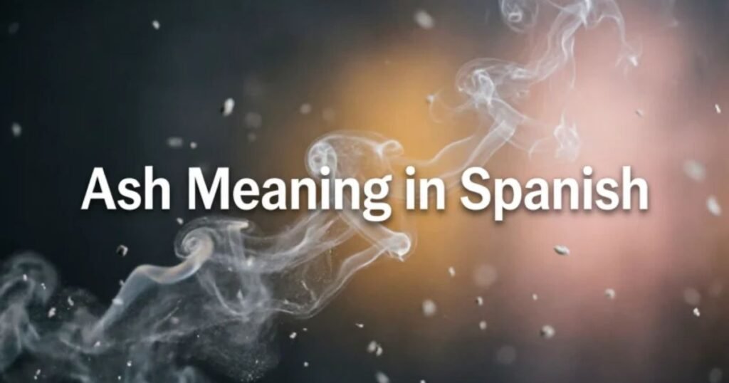 ash-meaning-in-spanish